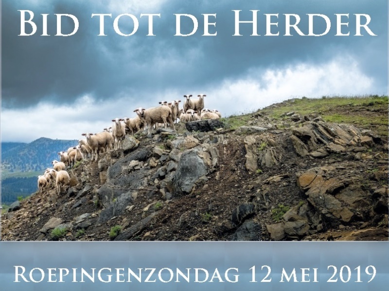 Zondag 12 mei - 4e zondag van Pasen/Roepingenzondag
